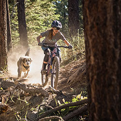 fox mtb clothing womens